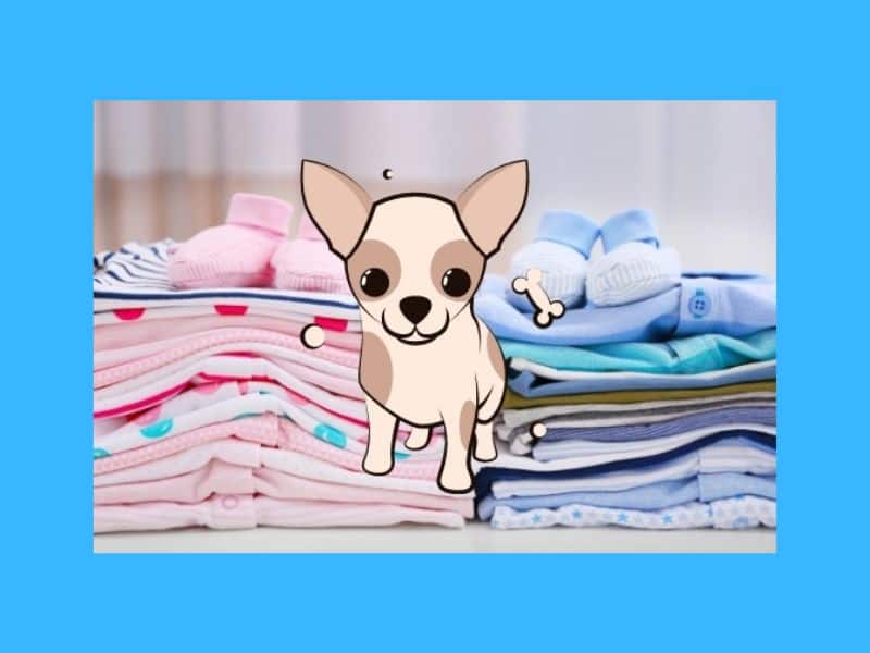 ▷ ¿Cómo hacer Ropa para Perro chihuahua con ropa de Bebé? | Mundoperro